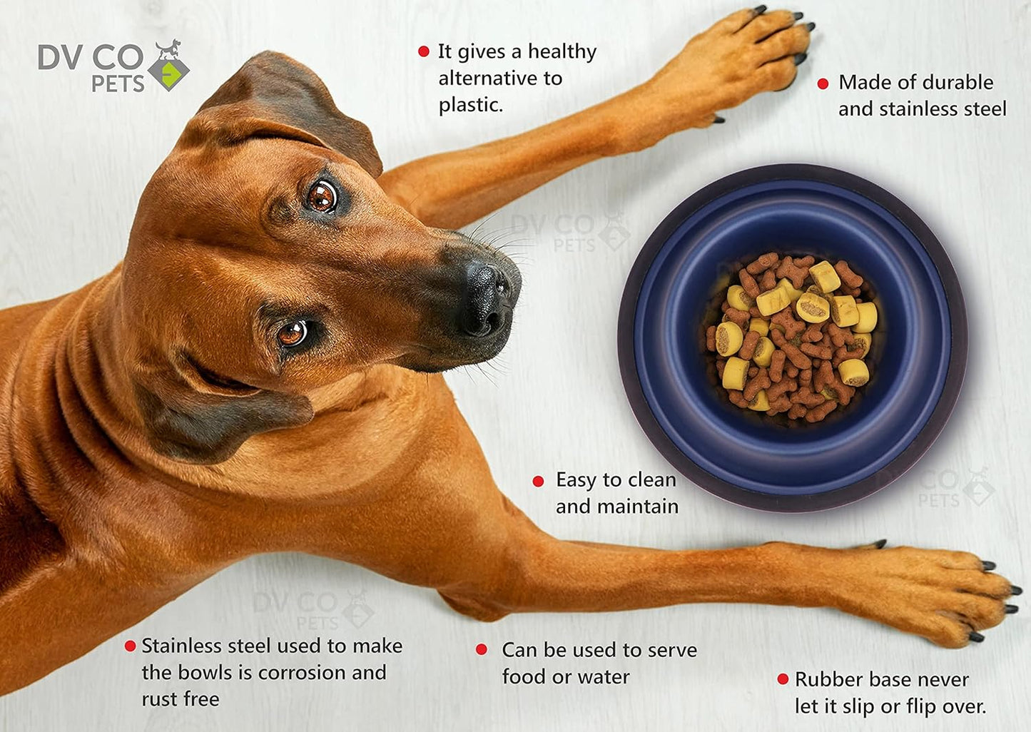 DV CO Stainless Steel Feeding Bowl for Pets | Water Bowl I Non-Toxic,Dishwasher Safe Pet Bowls for Dogs and Cats 16 OZ