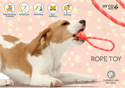 Dog Balls Rope Toy for Aggressive Chewers