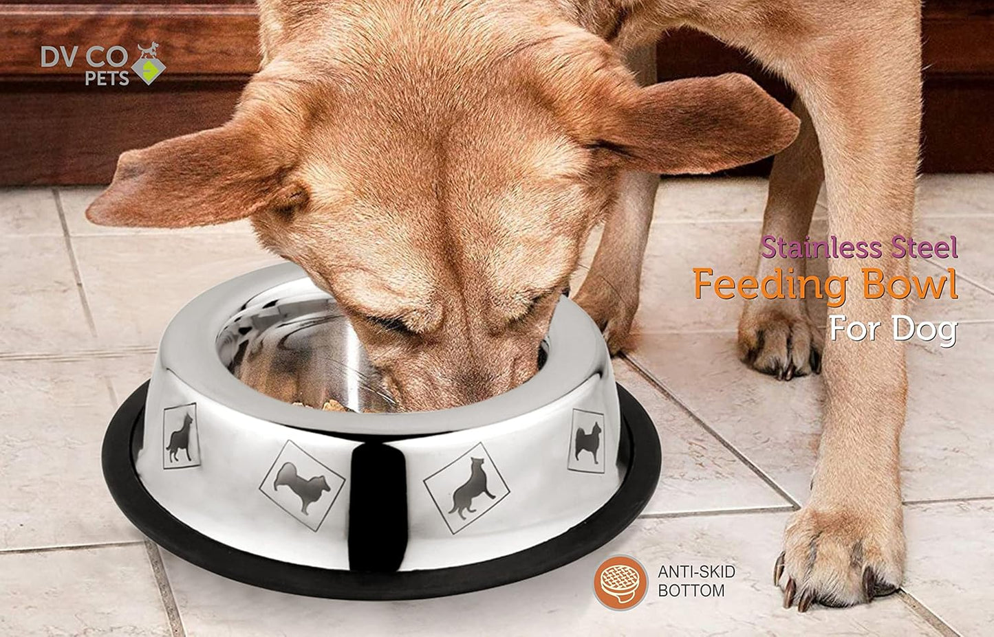 DV CO Stainless Steel Feeding Bowl for Pets | Water Bowl I Non-Toxic,Dishwasher Safe Pet Bowls for Dogs and Cats 16 OZ